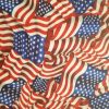 American Flags